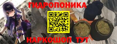 шишки Пушкино