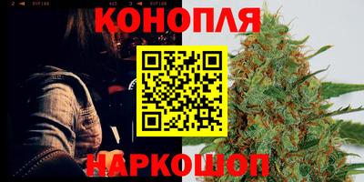 шишки Пушкино