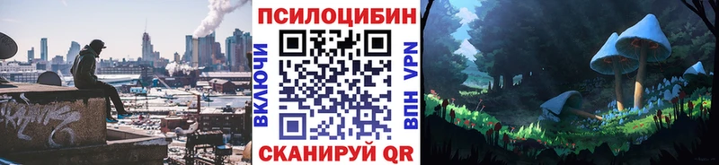где купить наркотик  Хабаровск  Псилоцибиновые грибы прущие грибы 
