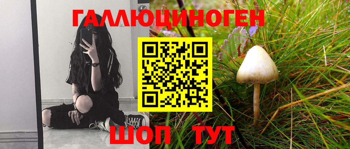 Хабаровск  Псилоцибиновые грибы прущие грибы  Вход с VPN  Псилоцибиновые грибы ЛСД 