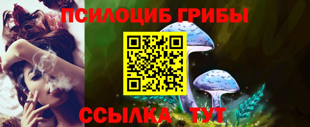 Галлюциногенные грибы прущие грибы Хабаровск